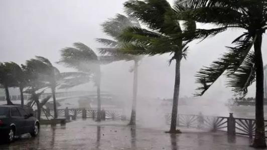 8月臺(tái)風(fēng)雨即將來(lái)，除濕機(jī)還得用起來(lái)