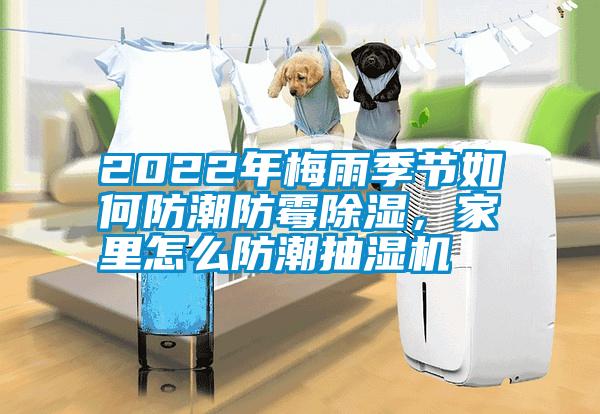 2022年梅雨季節(jié)如何防潮防霉除濕，家里怎么防潮抽濕機(jī)