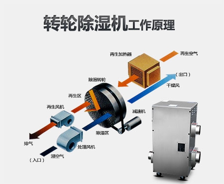 加濕器與除濕機(jī)：生活中更需要哪一個(gè)？