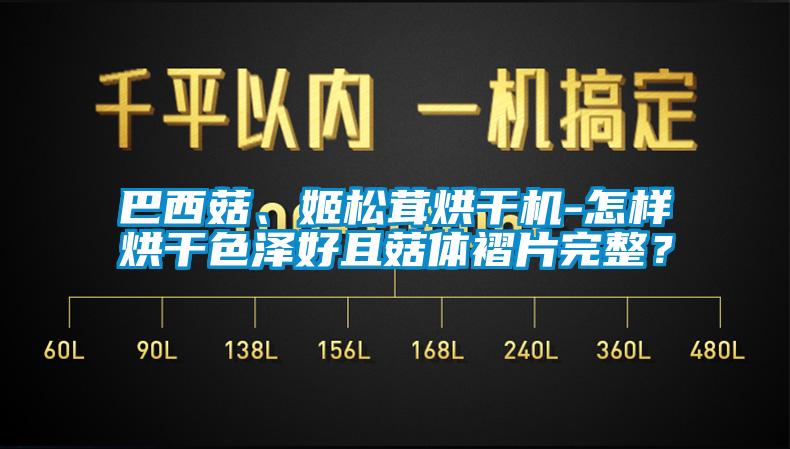 巴西菇、姬松茸烘干機(jī)-怎樣烘干色澤好且菇體褶片完整？