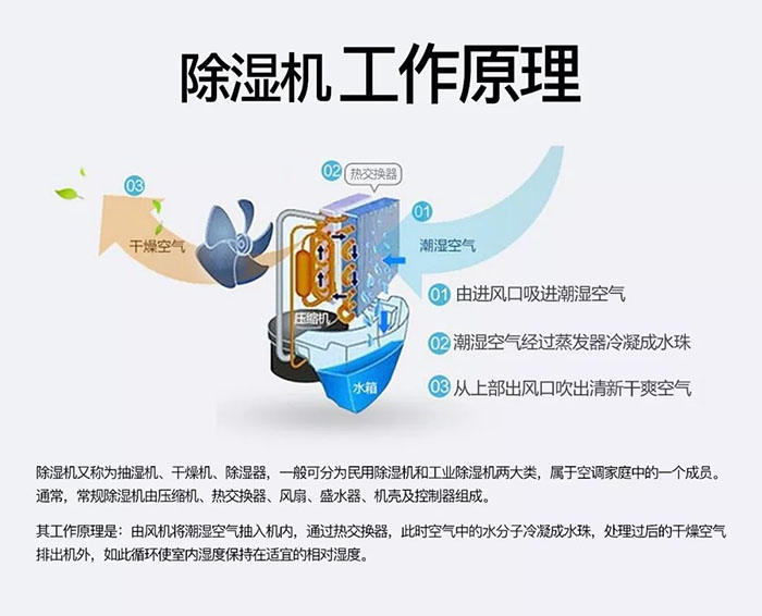 中藥材怎么烘干不變色？中藥材烘干用除濕機