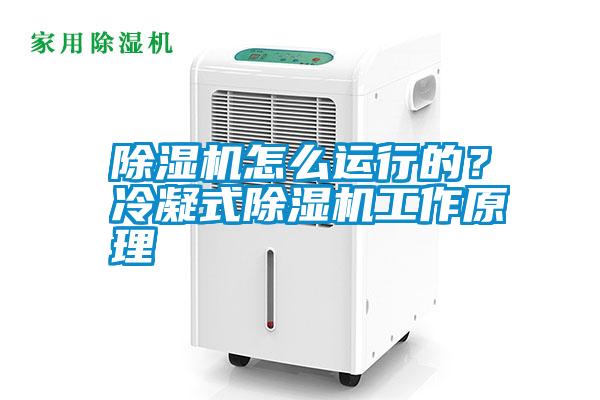 除濕機怎么運行的？冷凝式除濕機工作原理