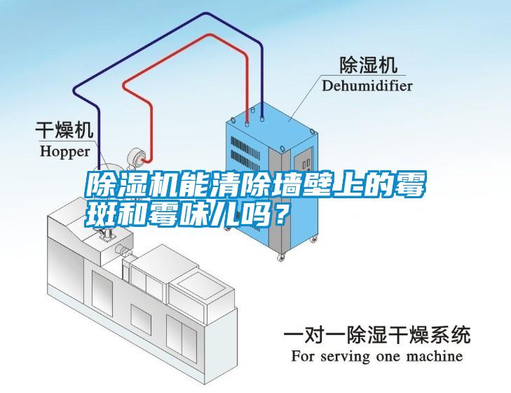 除濕機(jī)能清除墻壁上的霉斑和霉味兒嗎？