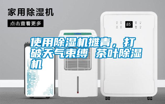 使用除濕機攤青，打破天氣束縛 茶葉除濕機