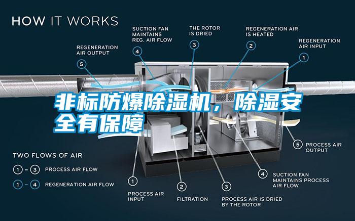 非標(biāo)防爆除濕機(jī)，除濕安全有保障