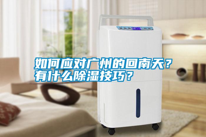 如何應(yīng)對(duì)廣州的回南天？有什么除濕技巧？