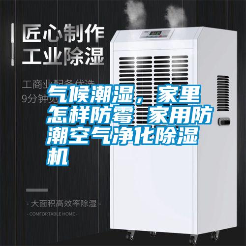 氣候潮濕，家里怎樣防霉 家用防潮空氣凈化除濕機