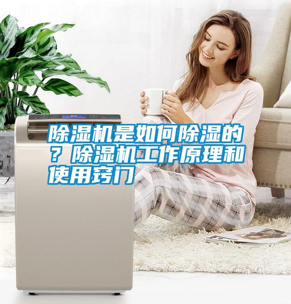 除濕機是如何除濕的？除濕機工作原理和使用竅門