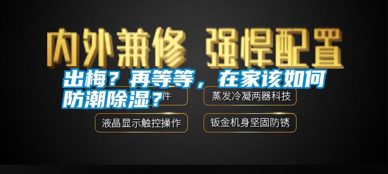 出梅？再等等，在家該如何防潮除濕？