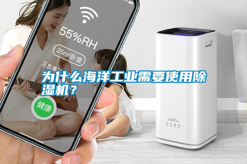 為什么海洋工業(yè)需要使用除濕機？