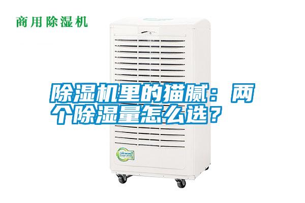 除濕機里的貓膩：兩個除濕量怎么選？