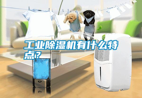 工業(yè)除濕機有什么特點？