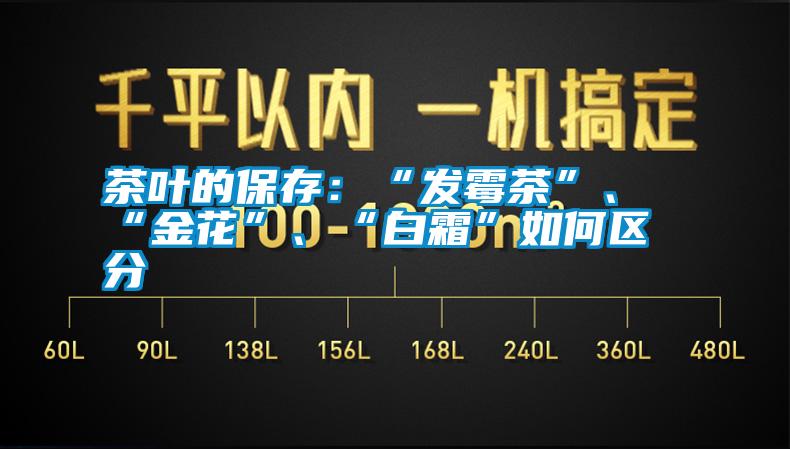 茶葉的保存：“發(fā)霉茶”、“金花”、“白霜”如何區(qū)分