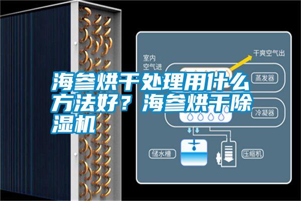 海參烘干處理用什么方法好？海參烘干除濕機