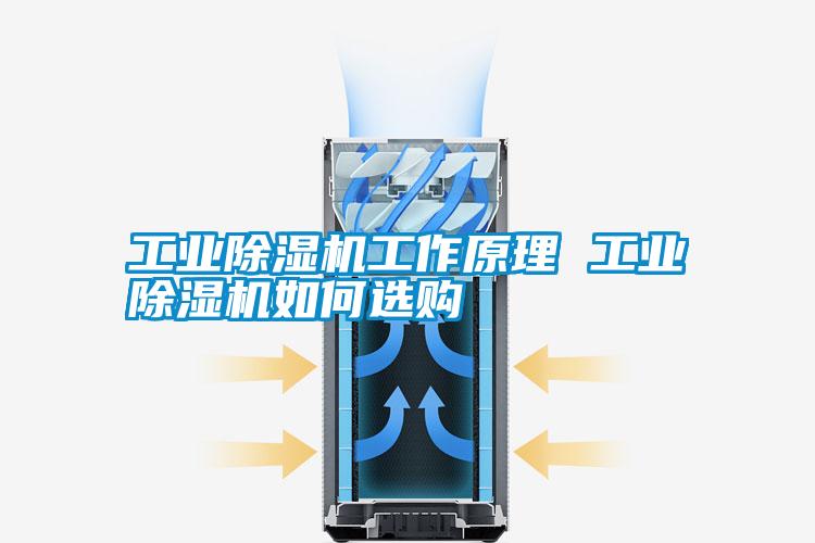 工業(yè)除濕機工作原理 工業(yè)除濕機如何選購