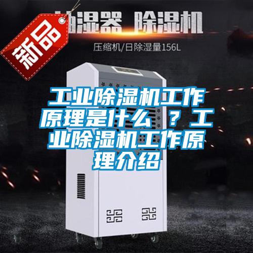 工業(yè)除濕機工作原理是什么 ？工業(yè)除濕機工作原理介紹