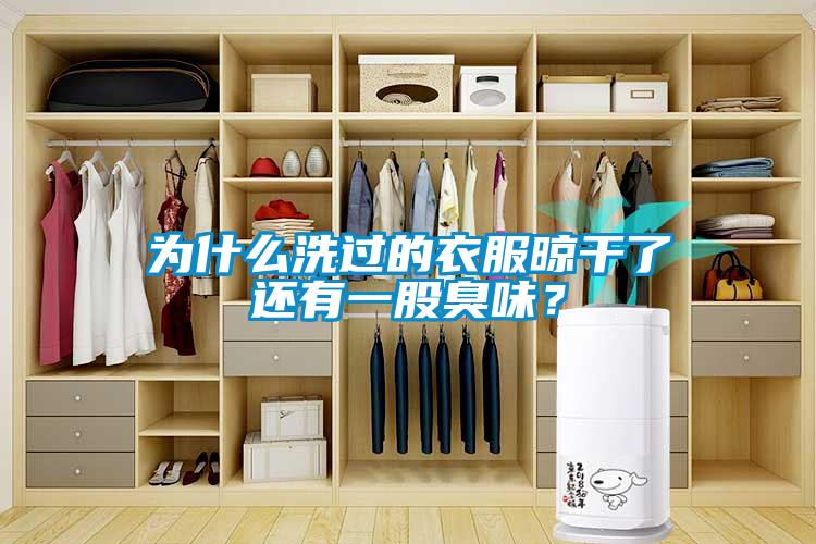 為什么洗過(guò)的衣服晾干了還有一股臭味？