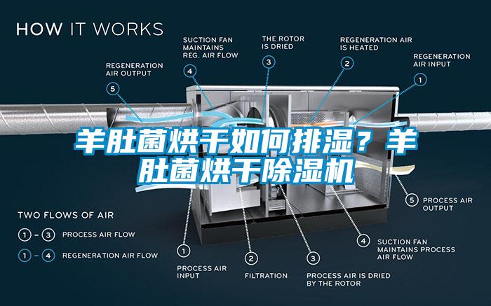 羊肚菌烘干如何排濕？羊肚菌烘干除濕機(jī)