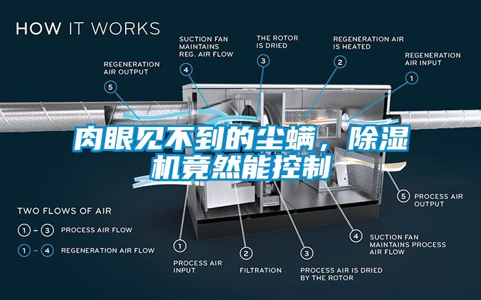 肉眼見不到的塵螨，除濕機竟然能控制