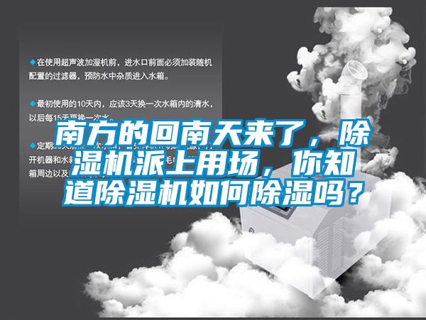 南方的回南天來了，除濕機派上用場，你知道除濕機如何除濕嗎？