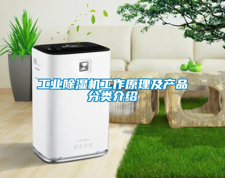 工業(yè)除濕機工作原理及產品分類介紹