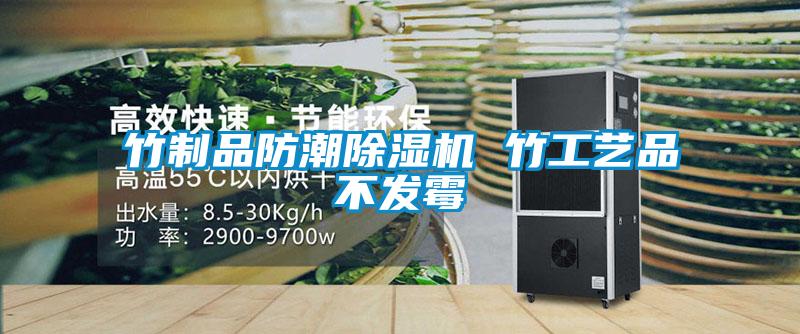 竹制品防潮除濕機 竹工藝品不發(fā)霉