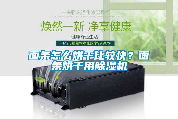 面條怎么烘干比較快？面條烘干用除濕機(jī)