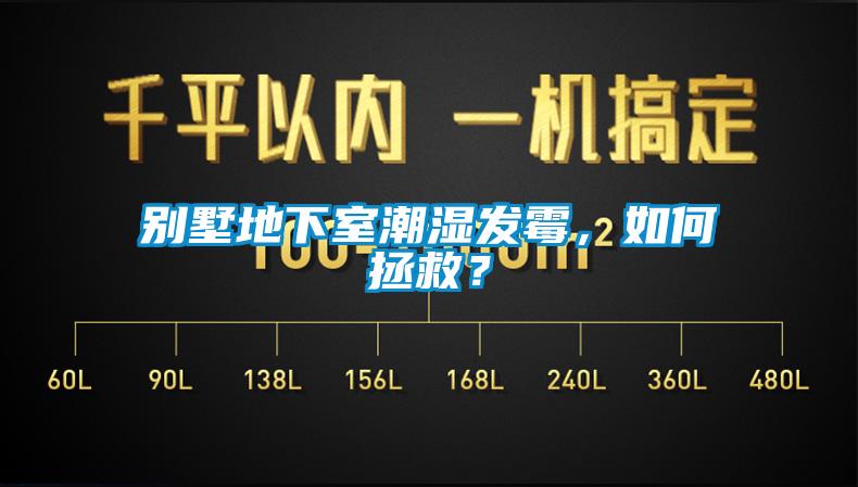 別墅地下室潮濕發(fā)霉，如何拯救？