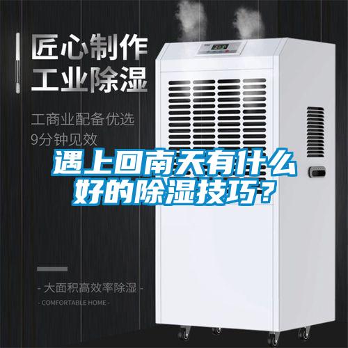 遇上回南天有什么好的除濕技巧？