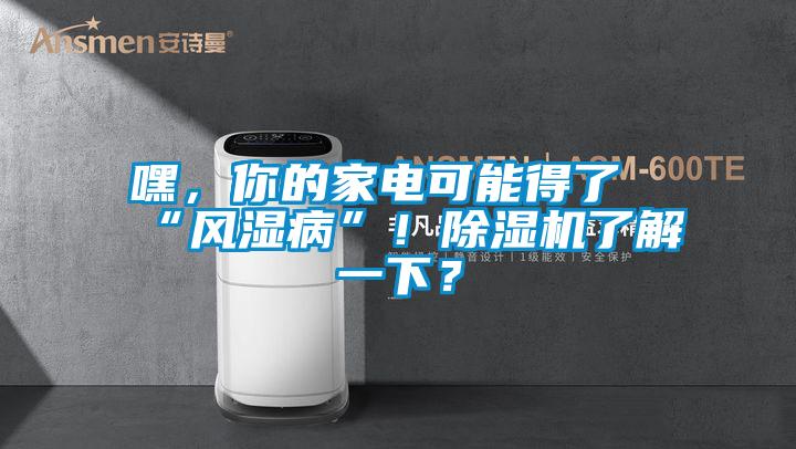 嘿，你的家電可能得了“風(fēng)濕病”！除濕機(jī)了解一下？