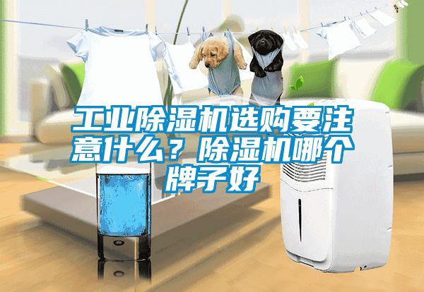 工業(yè)除濕機選購要注意什么？除濕機哪個牌子好