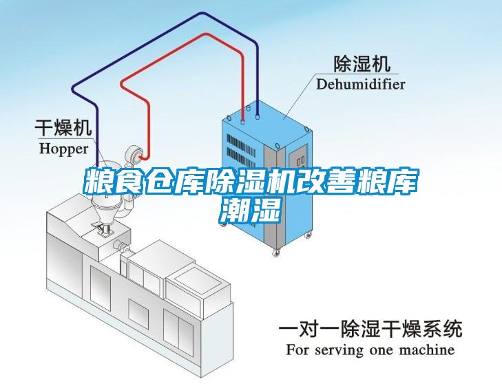 糧食倉(cāng)庫(kù)除濕機(jī)改善糧庫(kù)潮濕