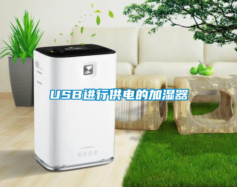 USB進(jìn)行供電的加濕器