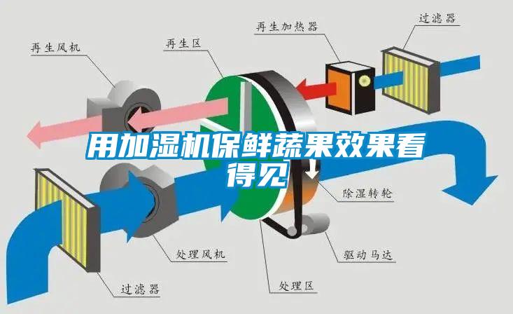 用加濕機(jī)保鮮蔬果效果看得見