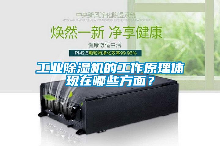 工業(yè)除濕機的工作原理體現(xiàn)在哪些方面？