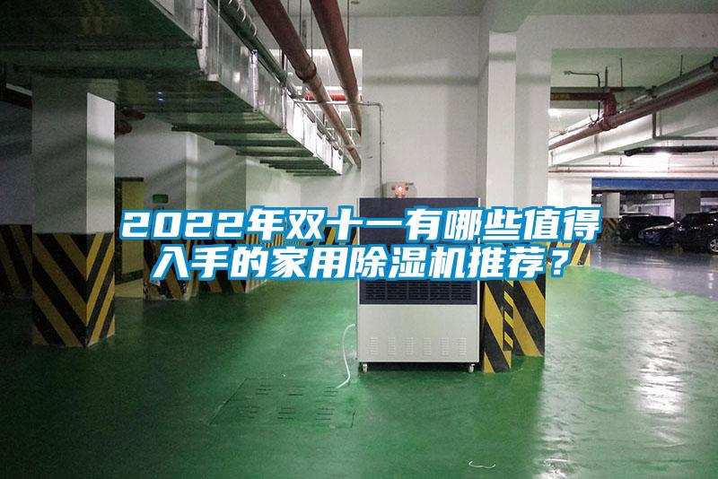 2022年雙十一有哪些值得入手的家用除濕機(jī)推薦？