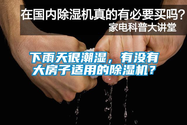 下雨天很潮濕，有沒有大房子適用的除濕機？