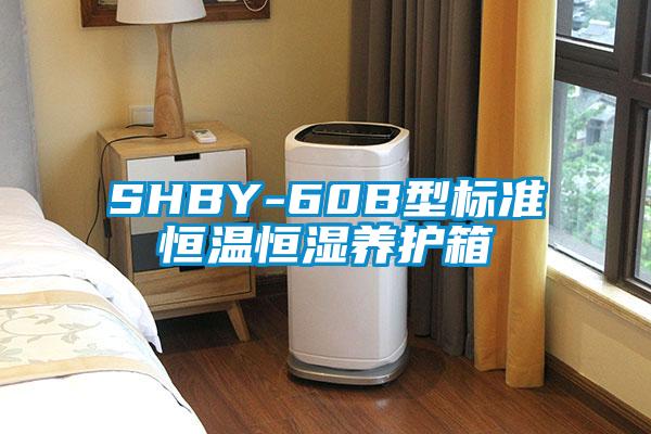 SHBY-60B型標準恒溫恒濕養(yǎng)護箱