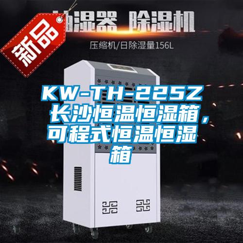 KW-TH-225Z 長沙恒溫恒濕箱，可程式恒溫恒濕箱