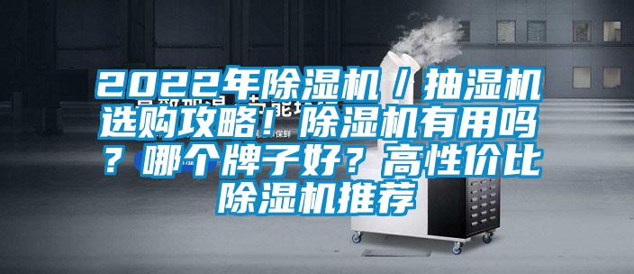 2022年除濕機(jī)／抽濕機(jī)選購(gòu)攻略！除濕機(jī)有用嗎？哪個(gè)牌子好？高性價(jià)比除濕機(jī)推薦