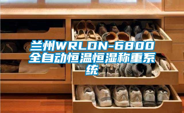 蘭州WRLDN-6800全自動(dòng)恒溫恒濕稱重系統(tǒng)