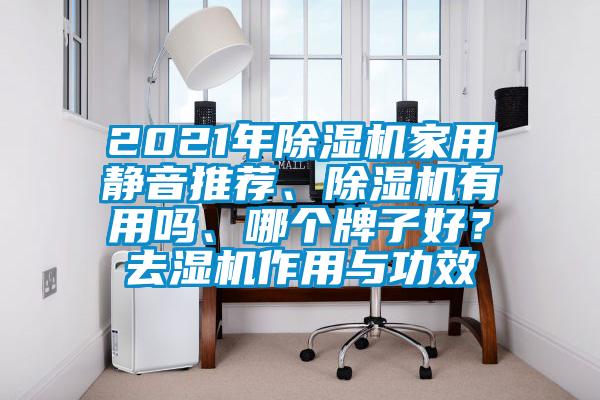 2021年除濕機(jī)家用靜音推薦、除濕機(jī)有用嗎、哪個(gè)牌子好？去濕機(jī)作用與功效