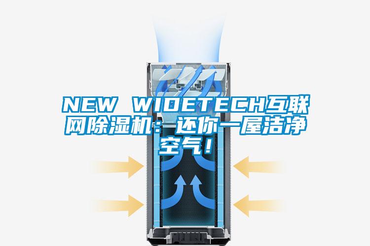 NEW WIDETECH互聯(lián)網(wǎng)除濕機(jī)：還你一屋潔凈空氣！