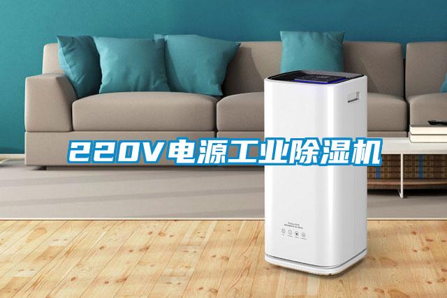 220V電源工業(yè)除濕機(jī)