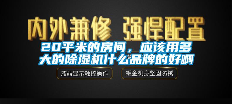 20平米的房間，應(yīng)該用多大的除濕機什么品牌的好啊