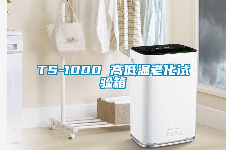 TS-1000 高低溫老化試驗箱