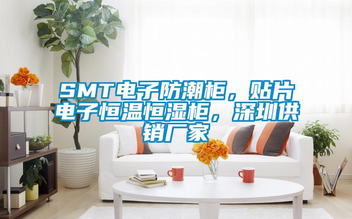 SMT電子防潮柜，貼片電子恒溫恒濕柜，深圳供銷廠家