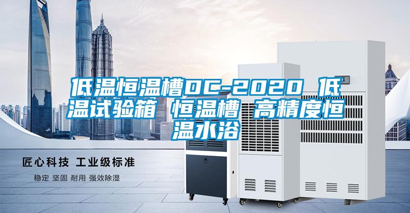 低溫恒溫槽DC-2020 低溫試驗(yàn)箱 恒溫槽 高精度恒溫水浴