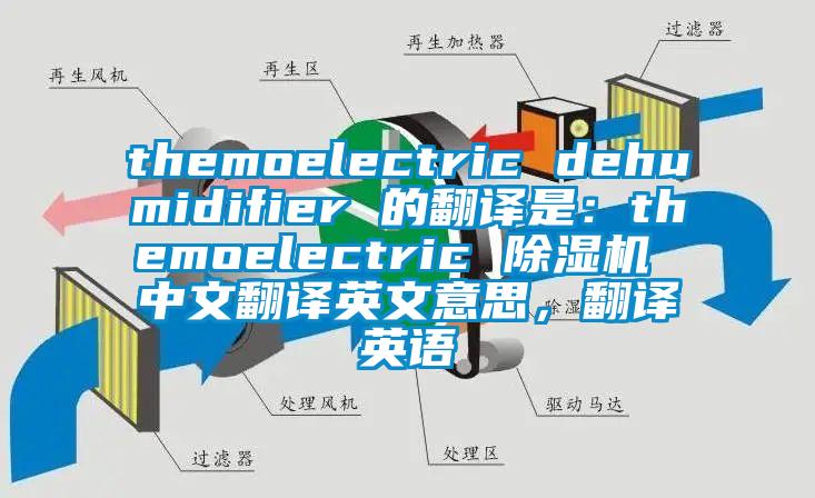 themoelectric dehumidifier 的翻譯是：themoelectric 除濕機 中文翻譯英文意思，翻譯英語