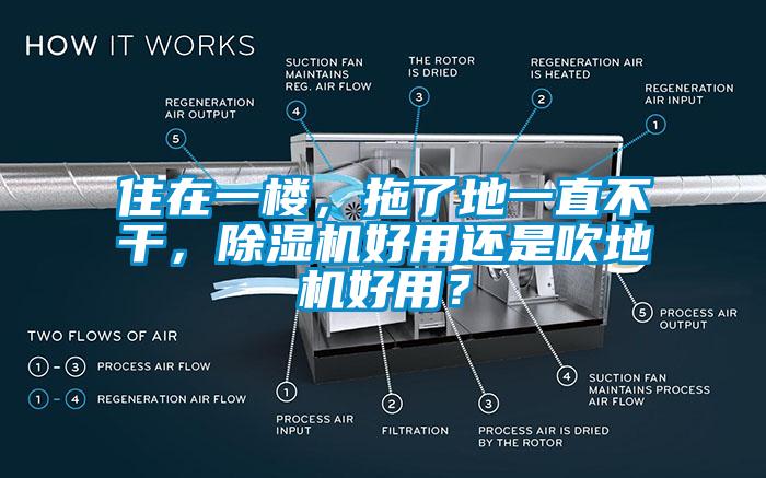 住在一樓，拖了地一直不干，除濕機(jī)好用還是吹地機(jī)好用？